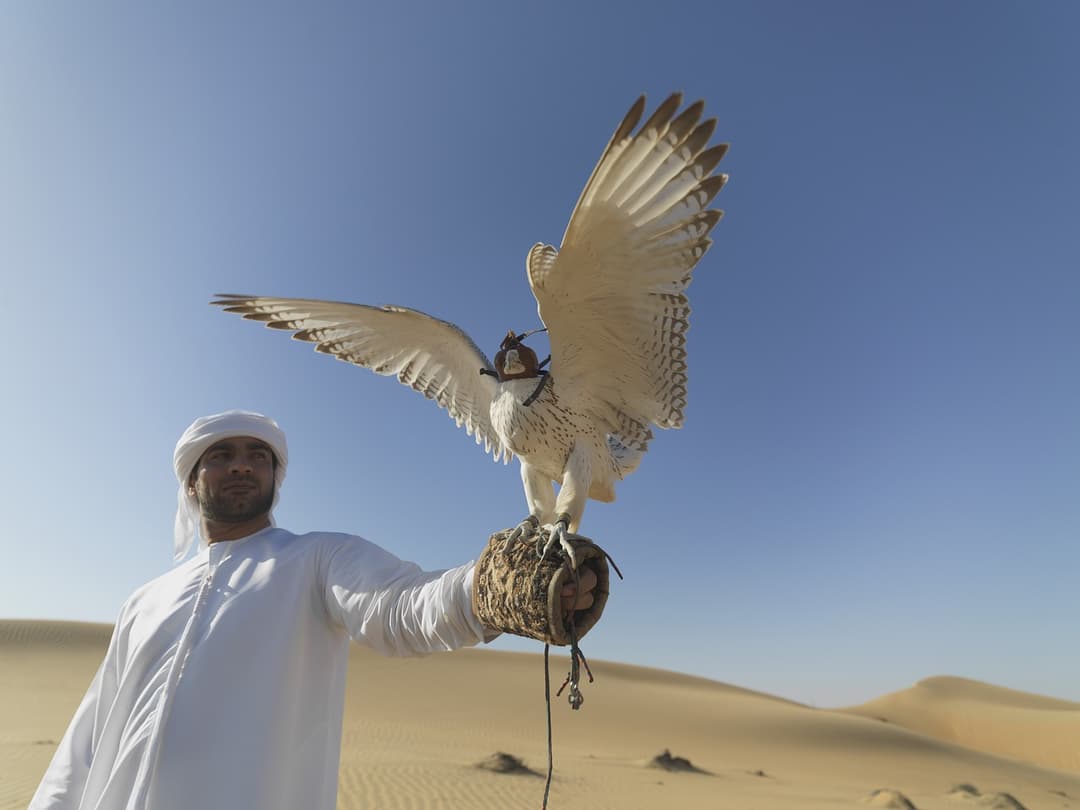 الامارات العربية